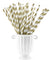 Gold | White Striped Paper Straws — STRAWTOPIA - STRAWTOPIA