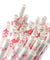 Pink Crown Paper Straws Biodegradable and Compostable - STRAWTOPIA