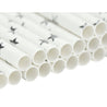 Metallic Silver Stars Paper Straws Biodegradable and Compostable - STRAWTOPIA