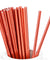 Metallic Red Gold Paper Straws — STRAWTOPIA - STRAWTOPIA