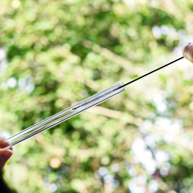 10mm (Transparent) 4 Straight Reusable Glass Straws with Cleaning Brushes — STRAWTOPIA