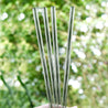 10mm (Transparent) 4 Straight Reusable Glass Straws with Cleaning Brushes — STRAWTOPIA