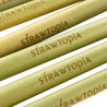 2 bamboo straws 9.1 inches with Strawtopia logo