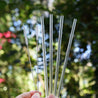 hands holding four straight glass straws and 2 cleaning brushes during the day outdoors