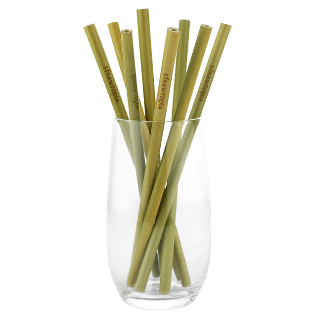 8 Strawtopia Bamboo Straws 7.7 inches in glass cup
