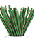 Green | Red Triangle Paper Straws Biodegradable and Compostable - STRAWTOPIA