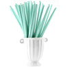 Turquoise | White Chevron Paper Straws Biodegradable and Compostable - STRAWTOPIA