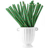 Green | Red Triangle Paper Straws Biodegradable and Compostable - STRAWTOPIA