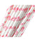 Pink Crown Paper Straws Biodegradable and Compostable - STRAWTOPIA