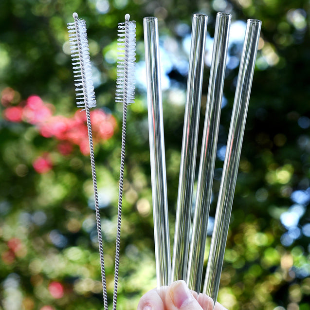 hands holding four straight glass straws and 2 cleaning brushes during the day outdoors 8mm wide
