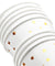 White with Gold Stars Fancy Party Paper Cups — STRAWTOPIA