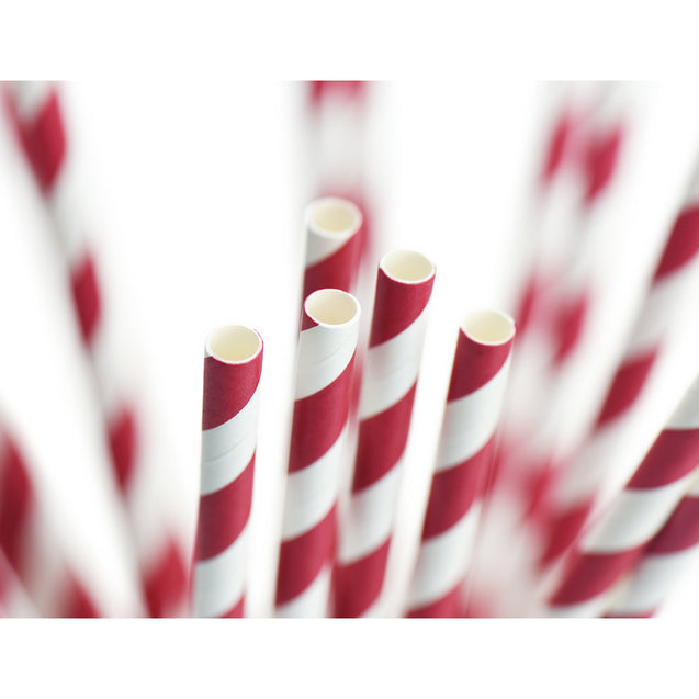 Mulberry Red Striped  Paper Straws — STRAWTOPIA - STRAWTOPIA