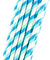 Double Blue Striped Paper Straws — STRAWTOPIA - STRAWTOPIA