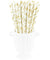Metallic Gold Princess Paper Straws — STRAWTOPIA - STRAWTOPIA