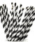 White | Black Striped Paper Straws — STRAWTOPIA - STRAWTOPIA