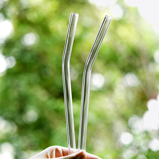 10mm (Transparent) 2 Bendy Reusable Glass Straws with Cleaning Brushes — STRAWTOPIA 