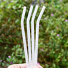 8mm (White) 4 Bendy Reusable Glass Straws with Cleaning Brushes — STRAWTOPIA