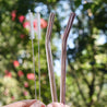 8mm (Pink) 2 Bendy Reusable Glass Straws with Cleaning Brushes — STRAWTOPIA