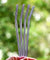 8mm (Purple) 4 Bendy Reusable Glass Straws with Cleaning Brushes — STRAWTOPIA
