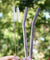 8mm (Purple) 2 Bendy Reusable Glass Straws with Cleaning Brushes — STRAWTOPIA